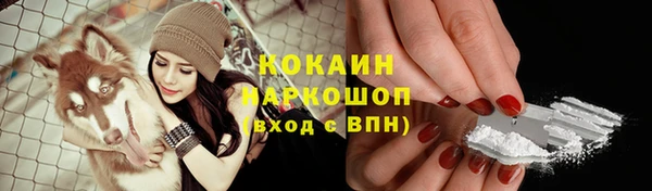 ПСИЛОЦИБИНОВЫЕ ГРИБЫ Абаза