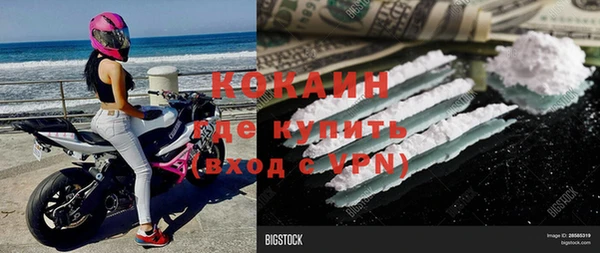 ПСИЛОЦИБИНОВЫЕ ГРИБЫ Абаза