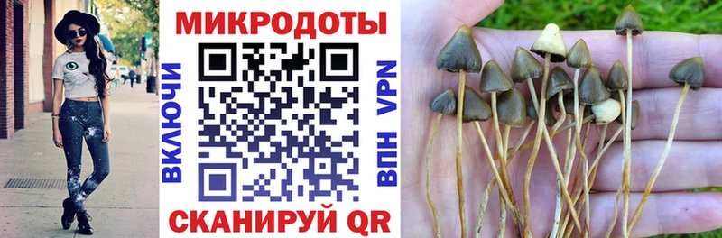 Галлюциногенные грибы мухоморы  Каменск-Шахтинский 